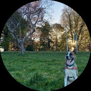 Meet your Posher, Rob